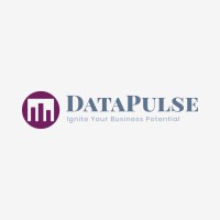 DataPulse logo - Similar company to Data Pulse