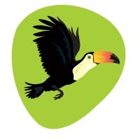 GreenEye logo - Similar company to Black Wall Global