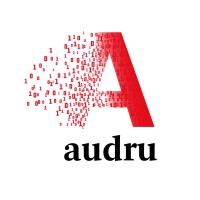 Audru Data Solutions logo - Similar company to Zerobug