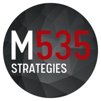 Meridian535 Strategies logo - Similar company to Newgen Technologies Inc.
