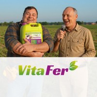 VitaFer logo - Similar company to Grad Design