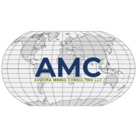 Avizora Mining Consulting Llc