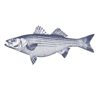 TIDES Real Estate Group logo - Similar company to Tandem