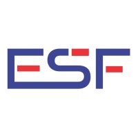 Electronic Security & Fire logo - Similar company to Danston Technical Services