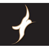 Team Albatross logo - Similar company to Cowlar Design Studio Llc