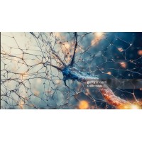 Sk Brain & Behaviors solutions logo - Similar company to Fred Footwear