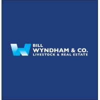 Bill Wyndham & Co. logo - Similar company to Bbx Minerals