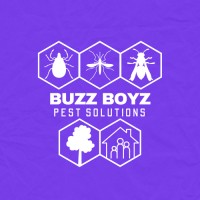 Buzz Boyz Pest Solutions logo - Similar company to Glitschka Studios