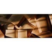 Bruzzi Literary agency and Editing logo - Similar company to The Book Group