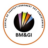 BM&GI logo - Similar company to Advisorhy