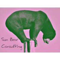 Sun Bear Consulting Ltd.