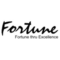 Fortune Procurators India Pvt. Ltd logo - Similar company to Tech Fifo Innovations