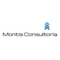 Montis Consultoria