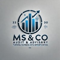 MS & Co Audit & Advisory logo - Similar company to Mv Learning