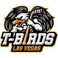Las Vegas Thunderbirds Hockey Team logo - Similar company to Vayner Systems