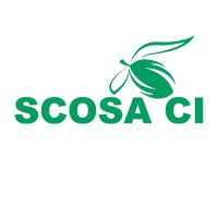SCOSA CI logo - Similar company to Scosa