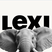 Lexi logo - Similar company to Authoritly