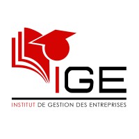 IGE - CFA logo - Similar company to Fle Sarl
