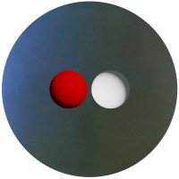 Renaître Lab logo - Similar company to Acante