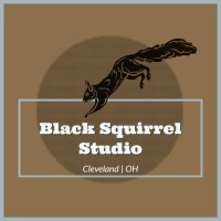 Black Squirrel Studio logo - Similar company to Black Squirrel Studios