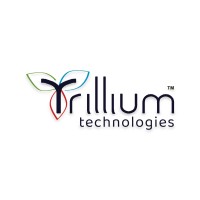 Trillium Technologies logo - Similar company to Trillium Technology