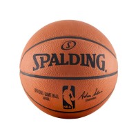 Professional Basketball Player