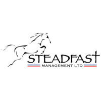 Steadfast Management Ltd logo - Similar company to Impulsify