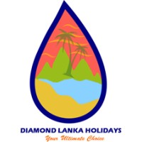 DIAMOND LANKA HOLIDAYS logo - Similar company to Comfort Your Journey