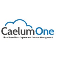 CaelumOne Solutions Corporation logo - Similar company to Trace Intel Llc