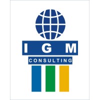 IGM Consulting logo - Similar company to The Igm Group