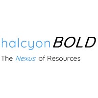 halcyonBOLD, LLC logo - Similar company to Summit Dermatology Partners