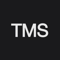 The Master Slides logo - Similar company to Templify
