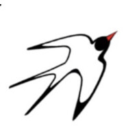Youth Geographic Association