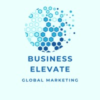 BusinessElevate logo - Similar company to Datavisionary