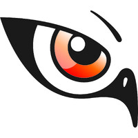 WatchfulEyes logo - Similar company to Amircorp Inc.