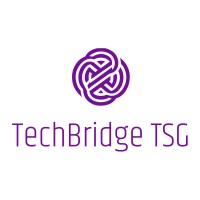 TechBridge Governance & Strategy Consulting LLP logo - Similar company to Optshine