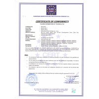 Gas power plant/biomass gasification/biogas gas/natural gas/coal gas/Zibo zichai new energy co ltd logo - Similar company to En2Core Technology