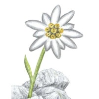 Muff Gartenbau AG logo - Similar company to Wepro Ag