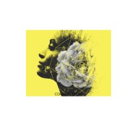 Blooming Rose logo - Similar company to Orderlab