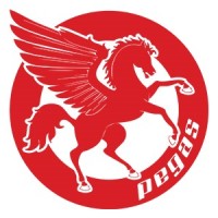 Atelierele Pegas logo - Similar company to Geobike Mfc
