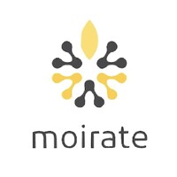 moirate logo - Similar company to Winterer Consult