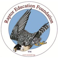 Raptor Education Foundation