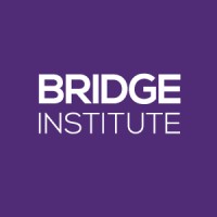 Bridge Institute logo - Similar company to Bridge Partnership