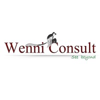 WENNI Consult logo - Similar company to Communication Public Affairs