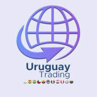 Uruguay Trading logo - Similar company to Mkt International