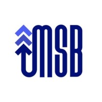 MSB-IT logo - Similar company to Msb It Solutions