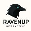 RVN Interactive logo - Similar company to Proje Takımı | Marka Ve İş Geliştirme Danışmanlığı