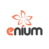 Enium - Criação De Sites, Sistemas E Hospedagem