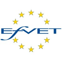 EfVET logo - Similar company to Itlent