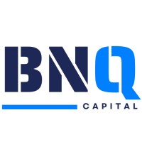 BNQ Capital logo - Similar company to Go Analytics Inc.